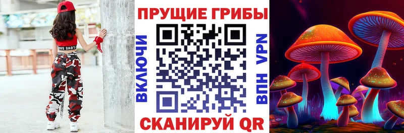 Псилоцибиновые грибы Magic Shrooms  blacksprut сайт  Нововоронеж 