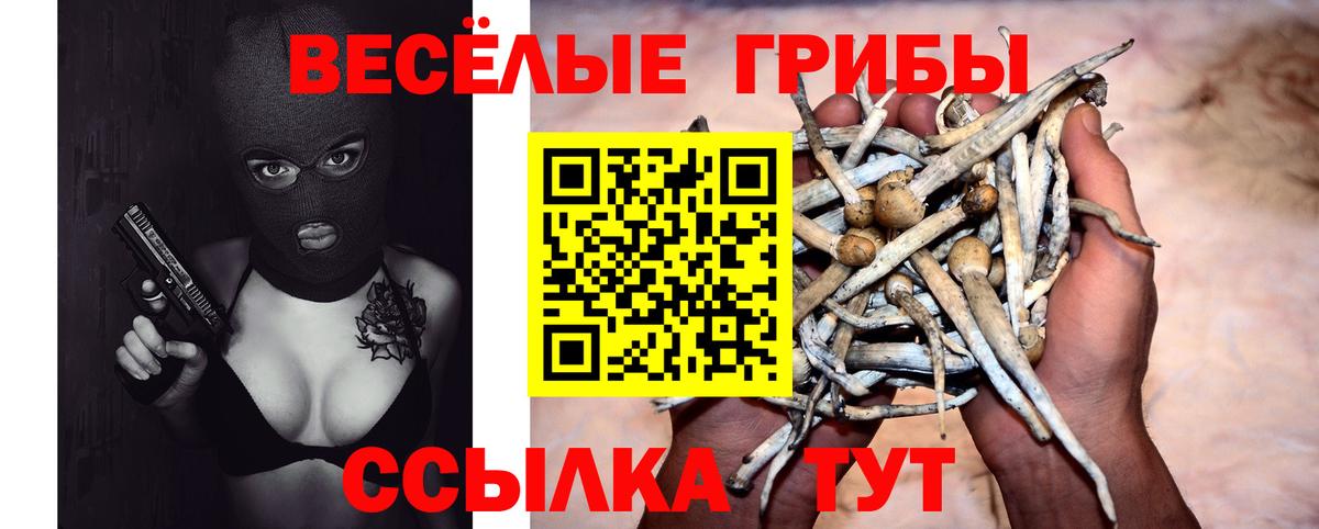 Галлюциногенные грибы мухоморы  Вход с VPN  Нововоронеж 